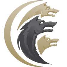 Cerberus FTP Server 12.2.2 Crack 2022 latest Free Download
